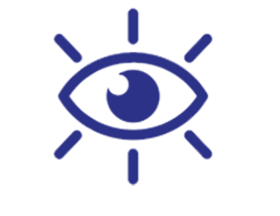 Our
                                    Vision